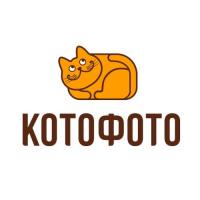 Kotofoto. ru